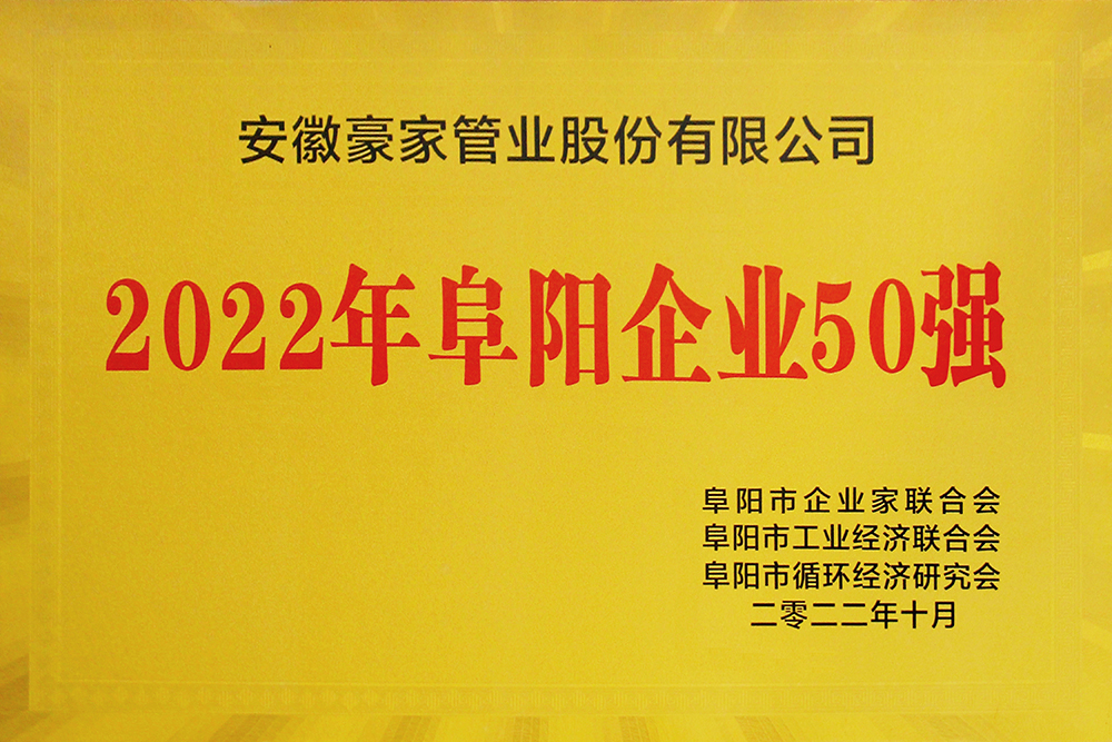 2022年阜阳企业50强